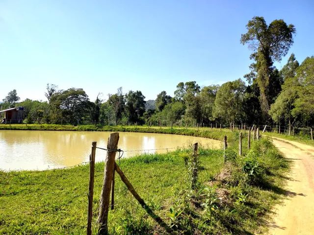 ANITÁPOLIS/SC - Lindo terreno com 6 hectares  - Foto 2