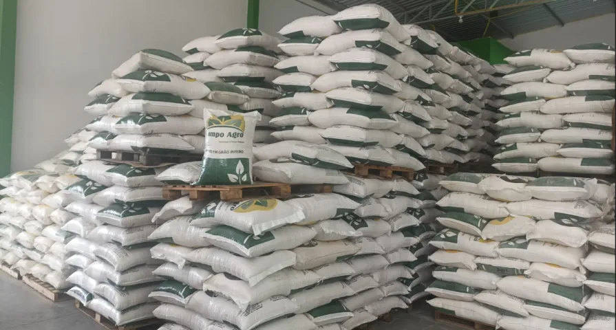 MILHO, FARELO SOJA, SORGO, SAL MOSSORÓ
