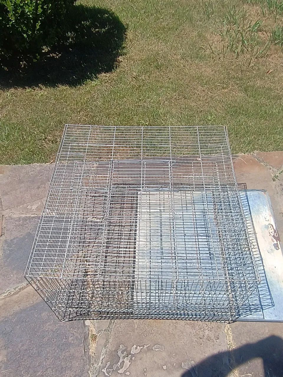 Gaiola para animais de estimação e roedores 