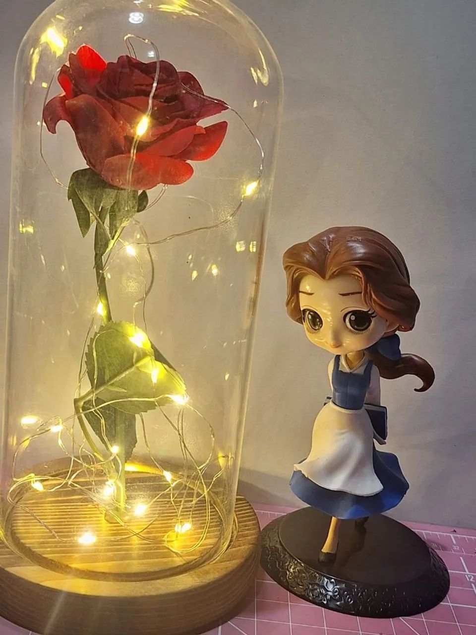 Bela e Rosa Encantada  - Foto 3