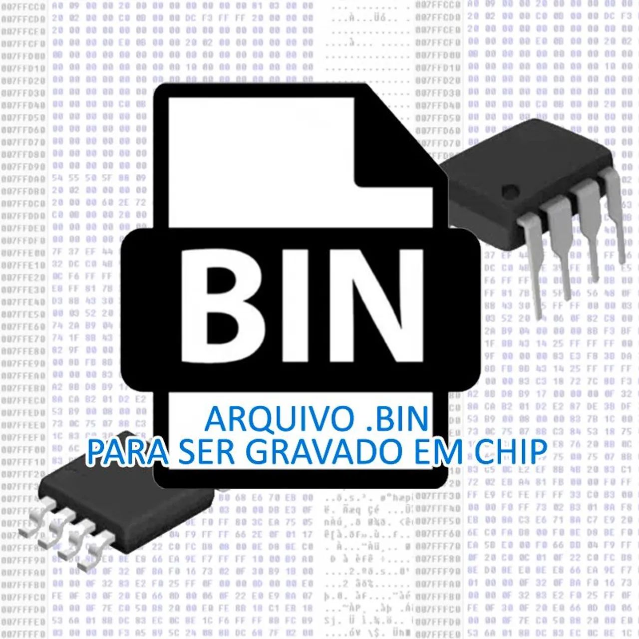 Gravação de bios