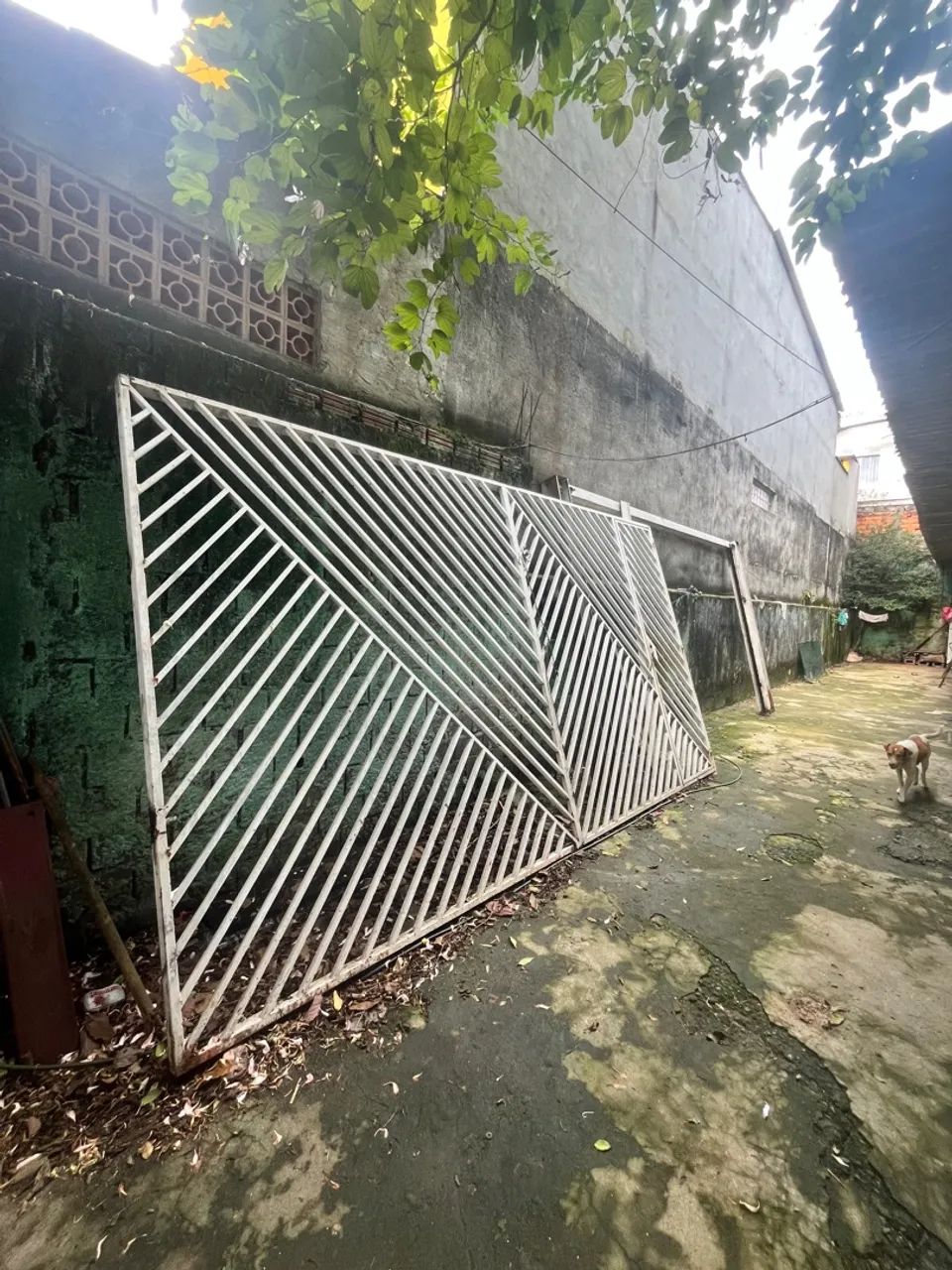 Portão  - Foto 2
