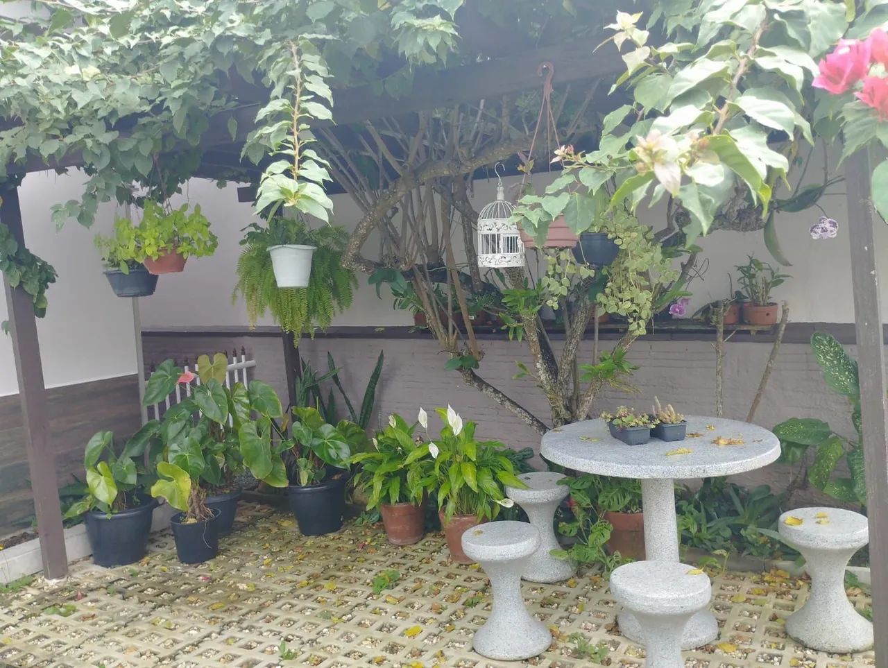 Foto - Joinville - Glória