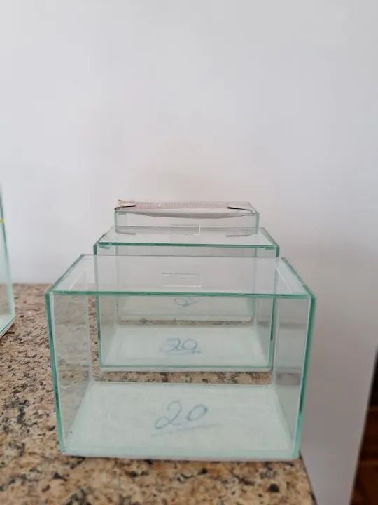 Aquário de 3 litros, 20x10x15