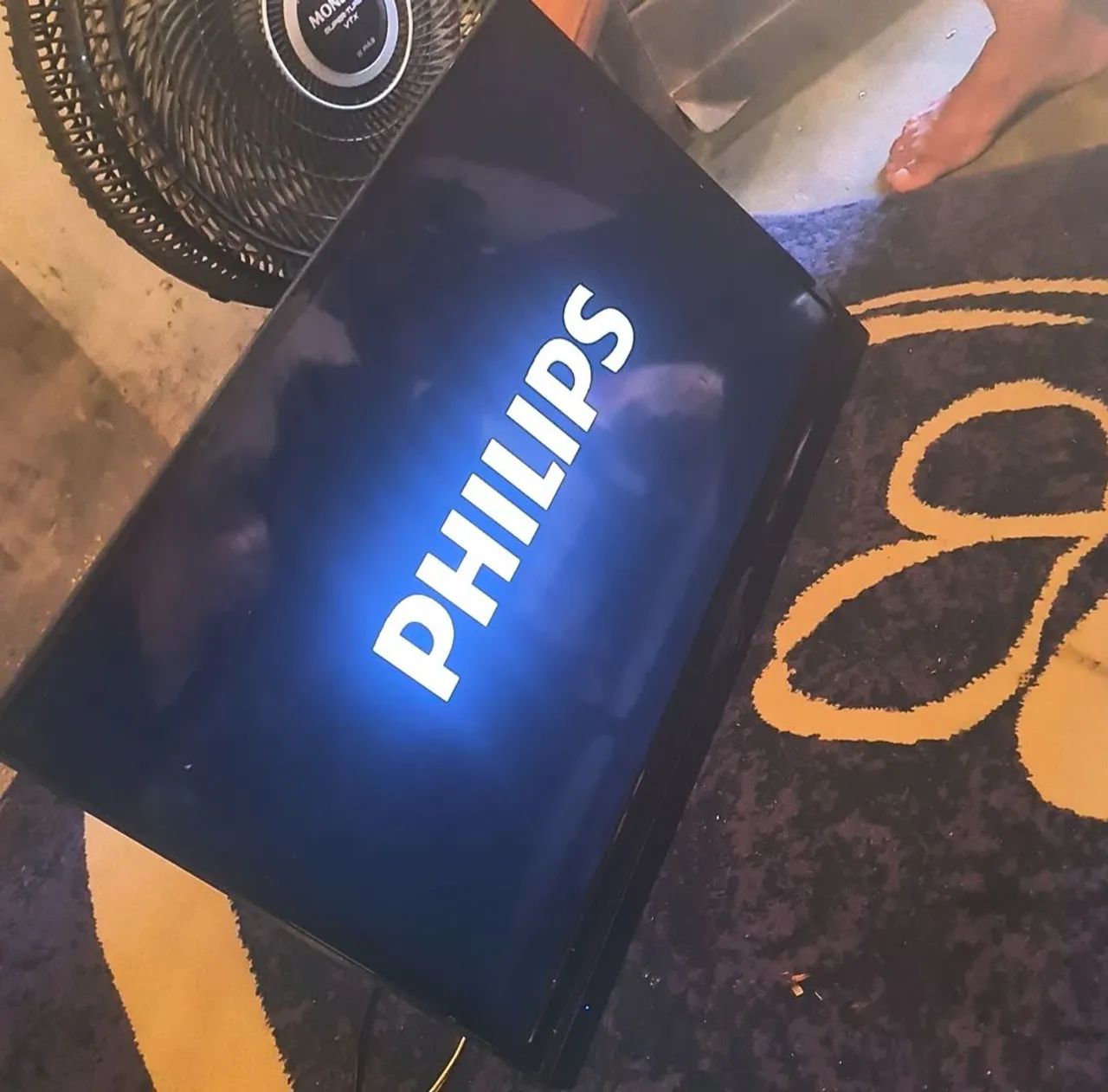 TV Philips 29 polegadas 