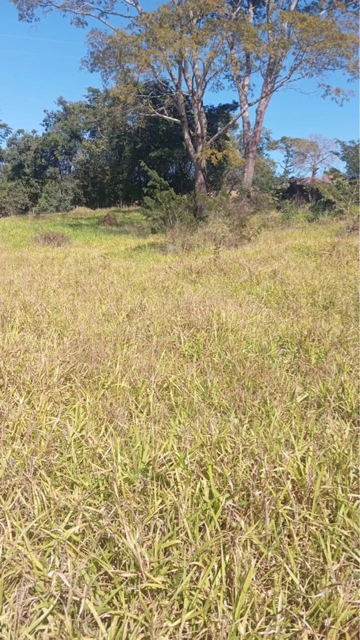 10 alqueires em Corumbá de Goiás - Foto 2
