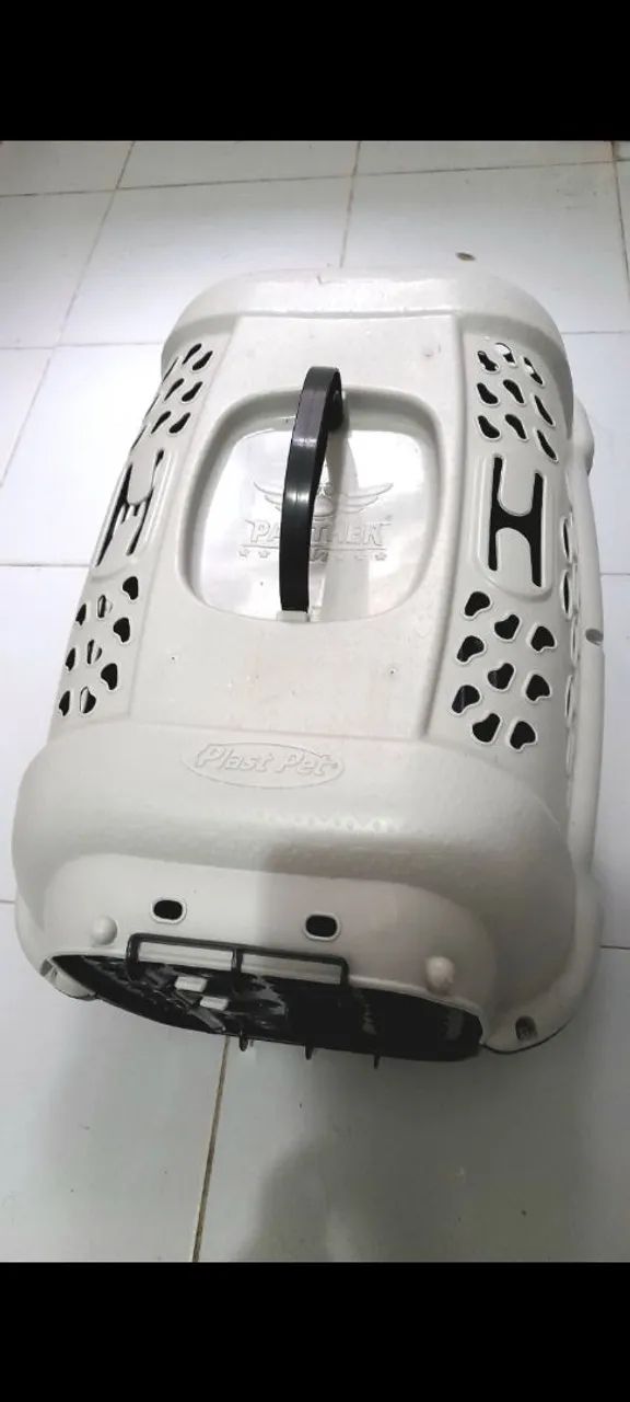 Doando gato - Adoção Responsável - Foto 6