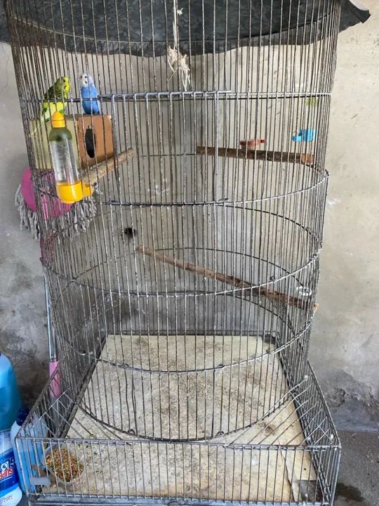 Viveiro grande - Foto 2