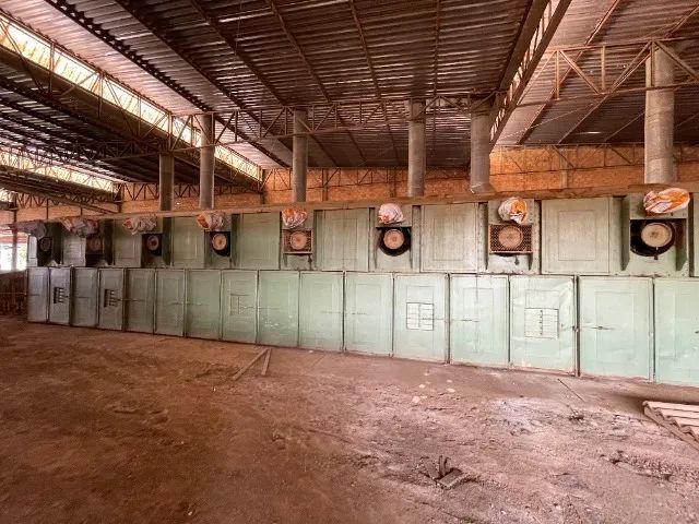Secador de Lâminas Beneck 12 câmaras de 3 pistas  - Foto 6