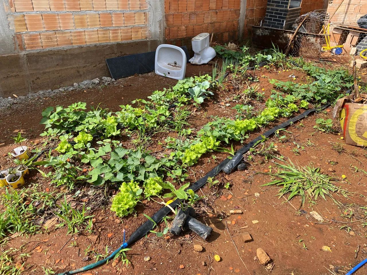 Lotão Mini chácara - Foto 10