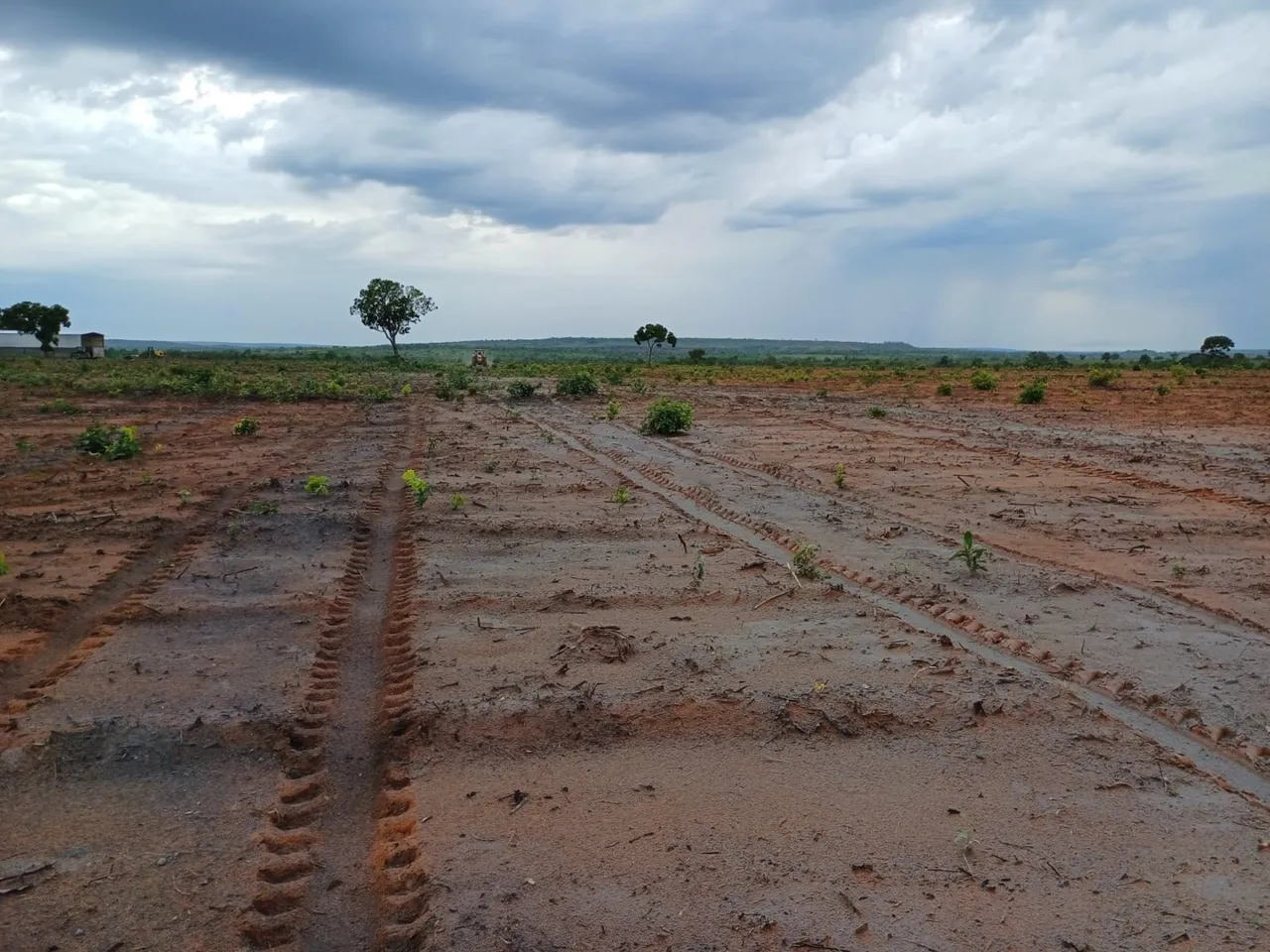 Fazenda com ótimas condições de pagamentos