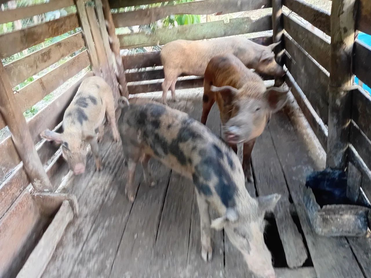 Vende se