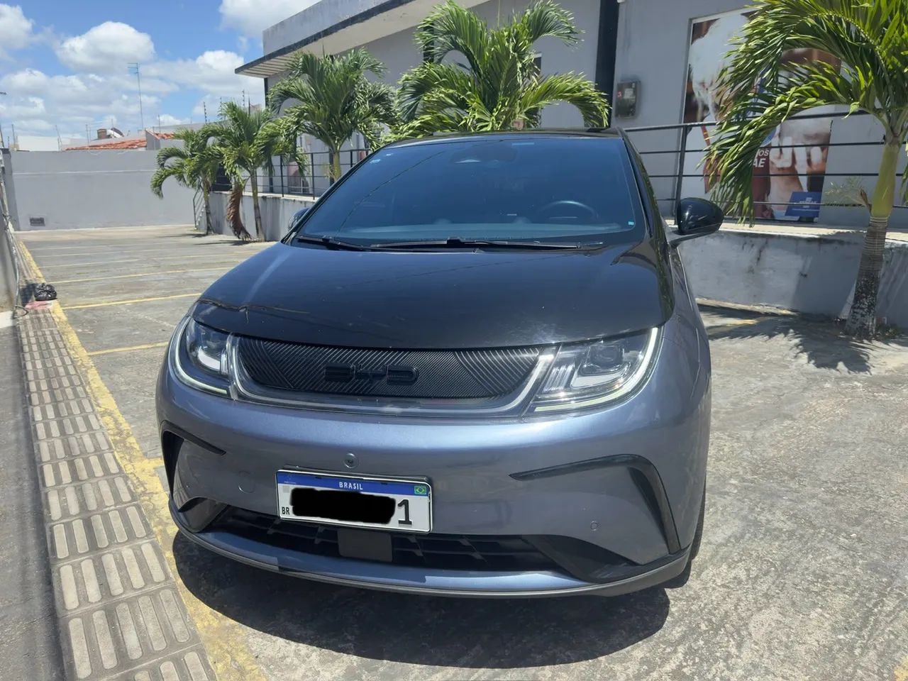 BYD Dolphin Plus (Elétrico) 2024 - Foto 3