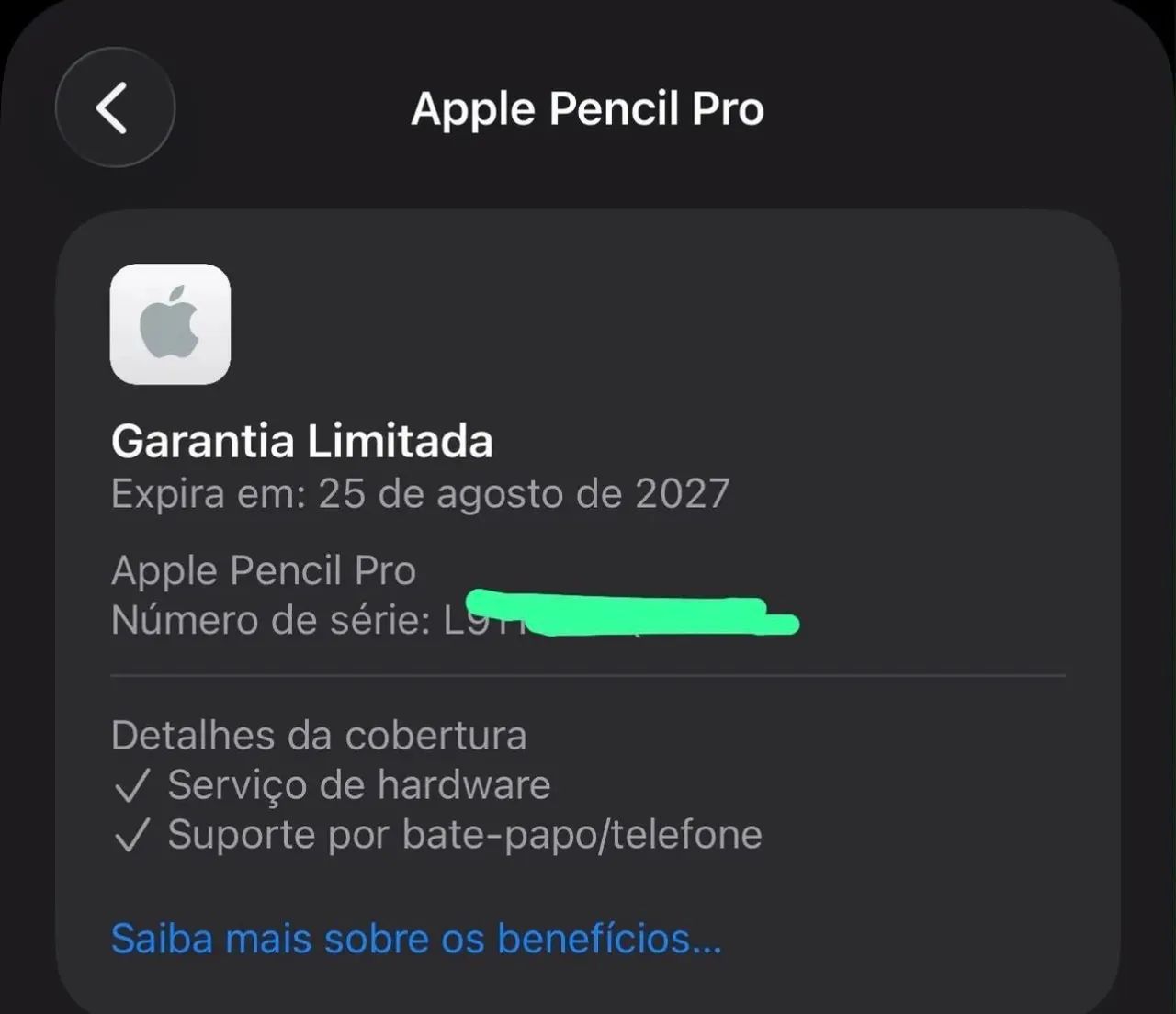 Apple Pencil Pro | Garantia Apple 2027 | Impecável - Tablets e E