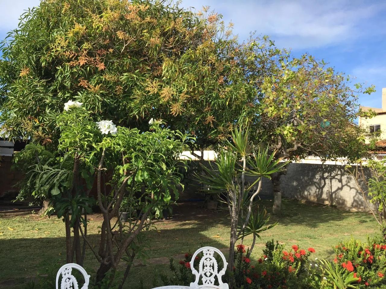 CASA NA PRAIA DO ABAIS BEM PERTO DA PRAIA  - Foto 4