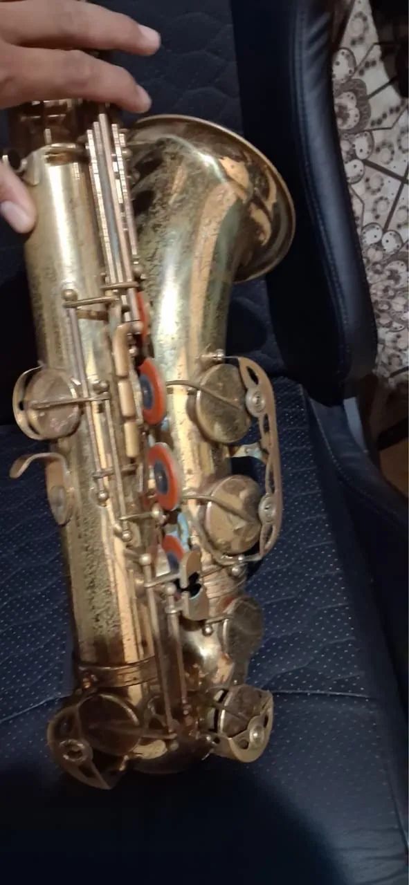 Sax tenor shelter