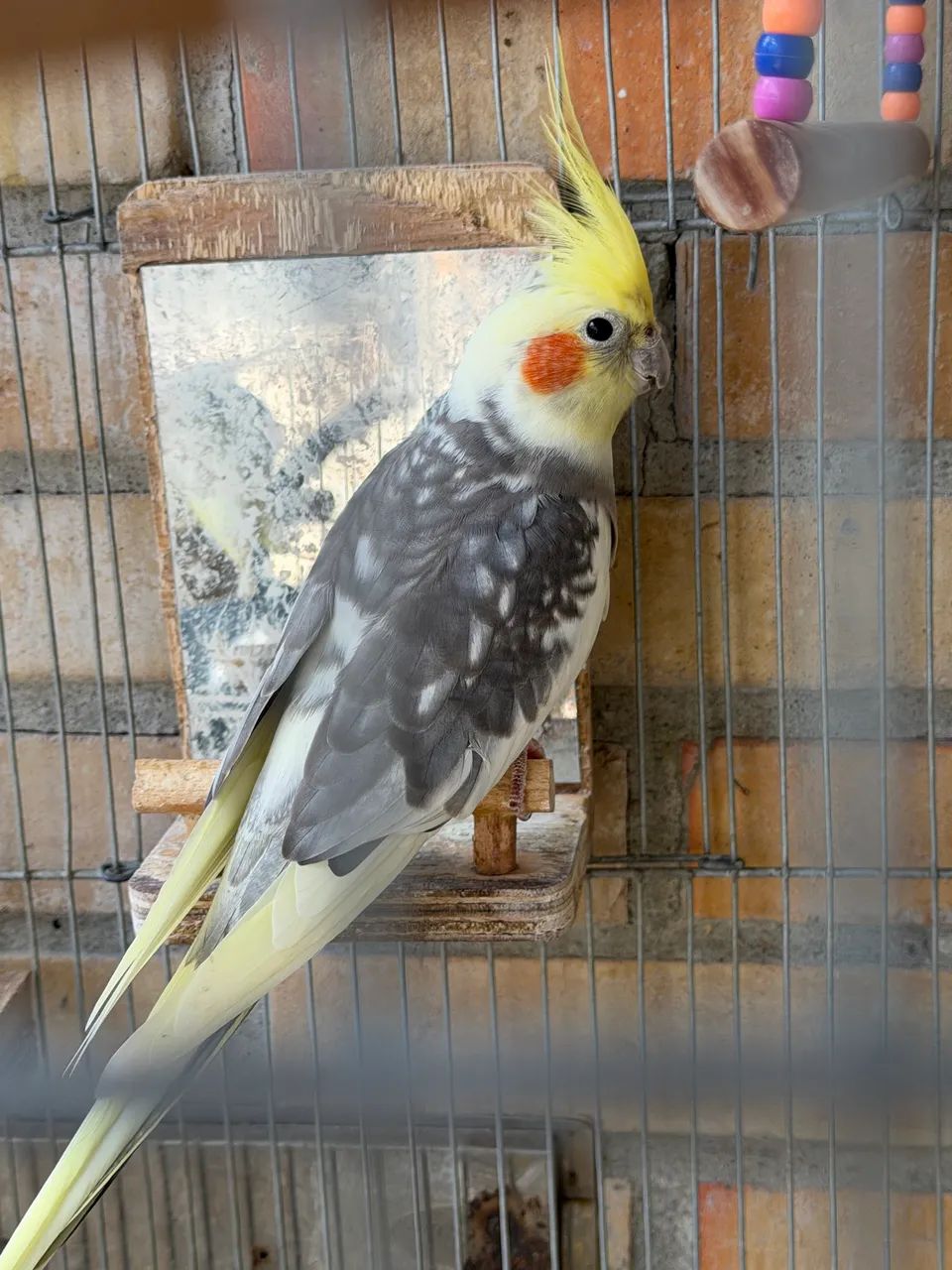 Vendo ou Troco - Foto 3