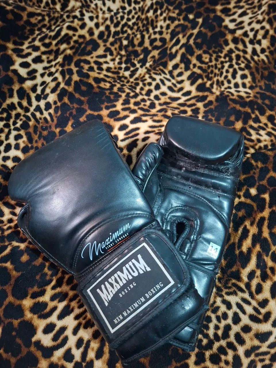 Luva Boxe/Muay Thai 