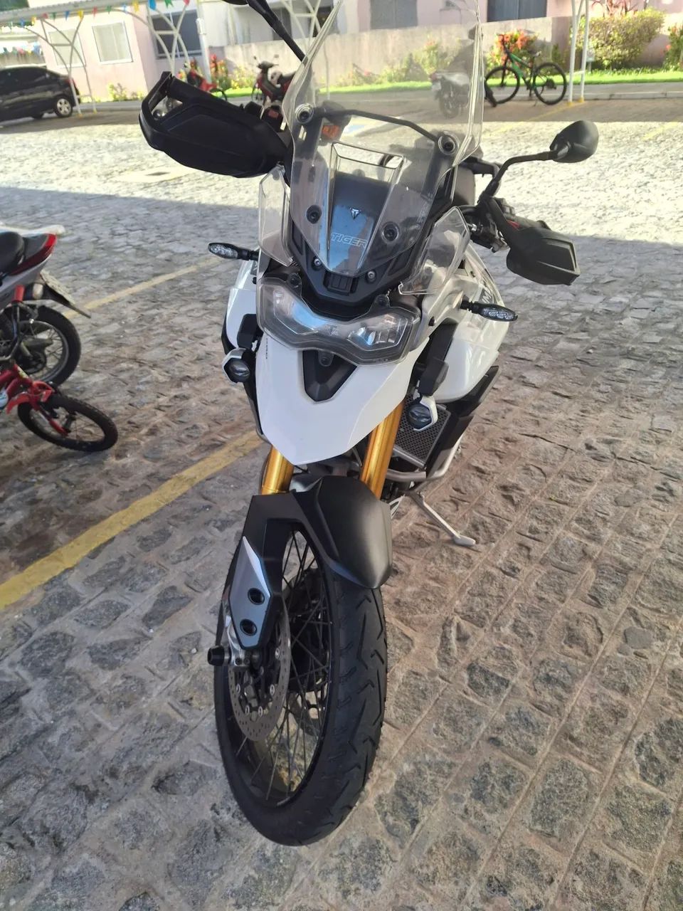 Tiger rally pro  - Foto 3