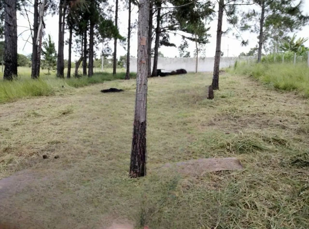 Foto - Jacareí - Veraneio Irajá