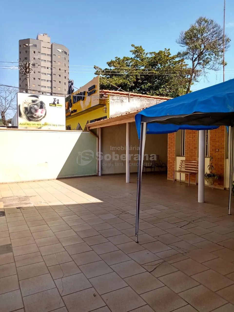 casa - Jardim Proença - Campinas - Foto 5