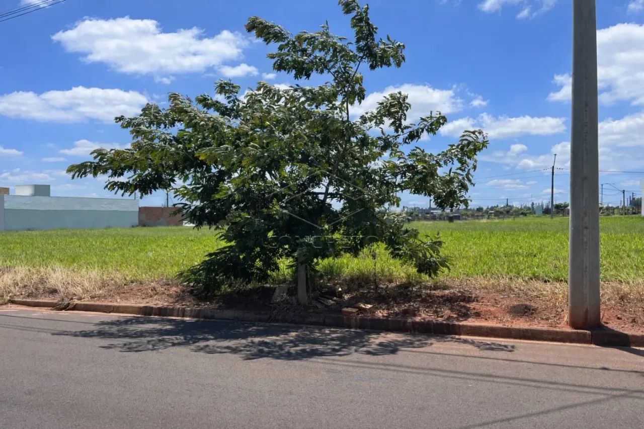 TERRENO RESIDENCIAL OU COMERCIAL - Foto 2