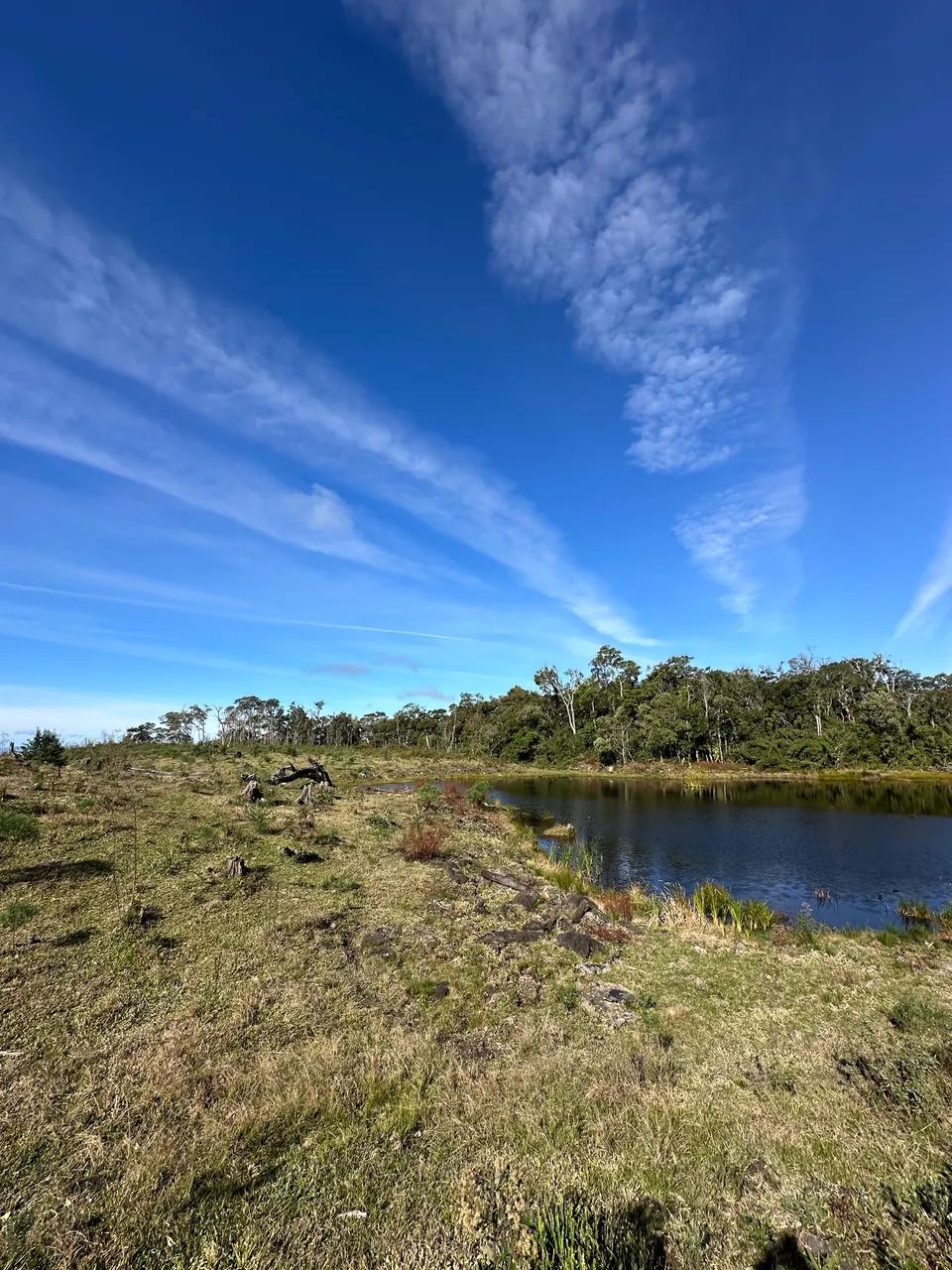     2 Hectares com Lago e Linda Vista - Morro dos 50 - Foto 4