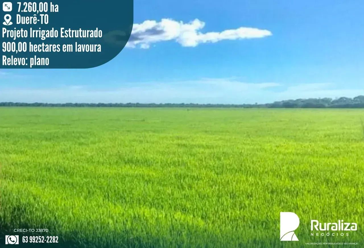 7.260 HA | 1.000 HA PARA ABERTURA | VÁRZEA E TERRA PRETA