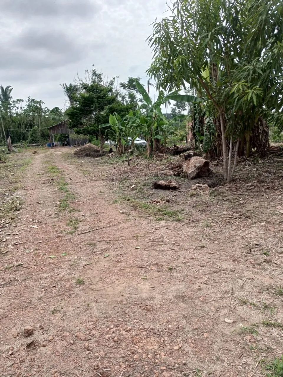 Terreno setor chacareiro 