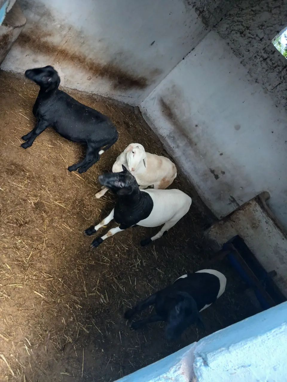 Vendo - Foto 4