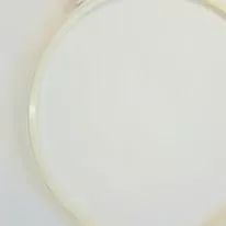 Anel Giratório Para Micro-ondas - Foto 4