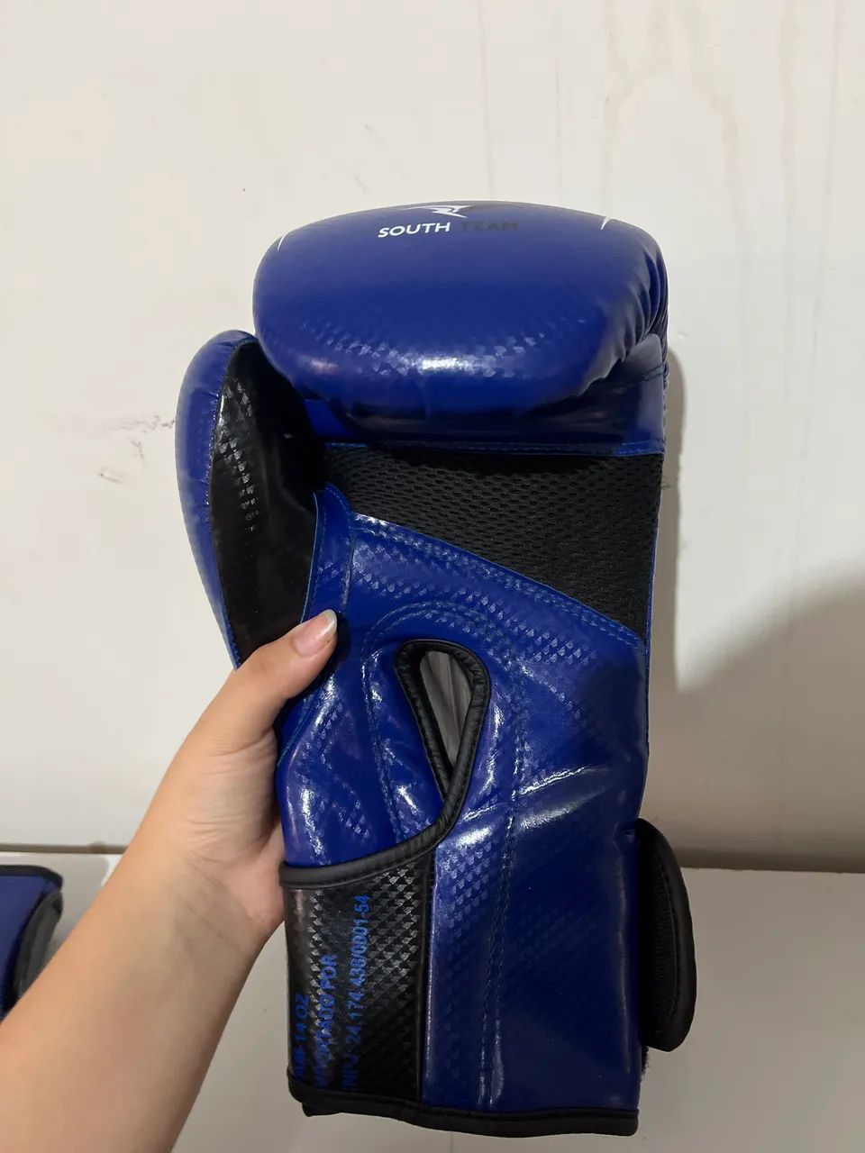 Lucas de boxe - Foto 4