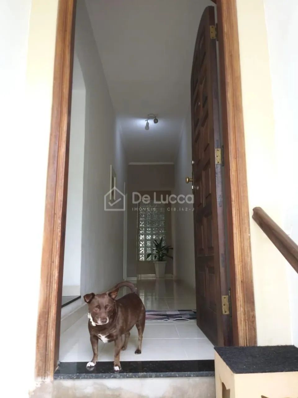 casa - Vila Industrial - Campinas - Foto 4