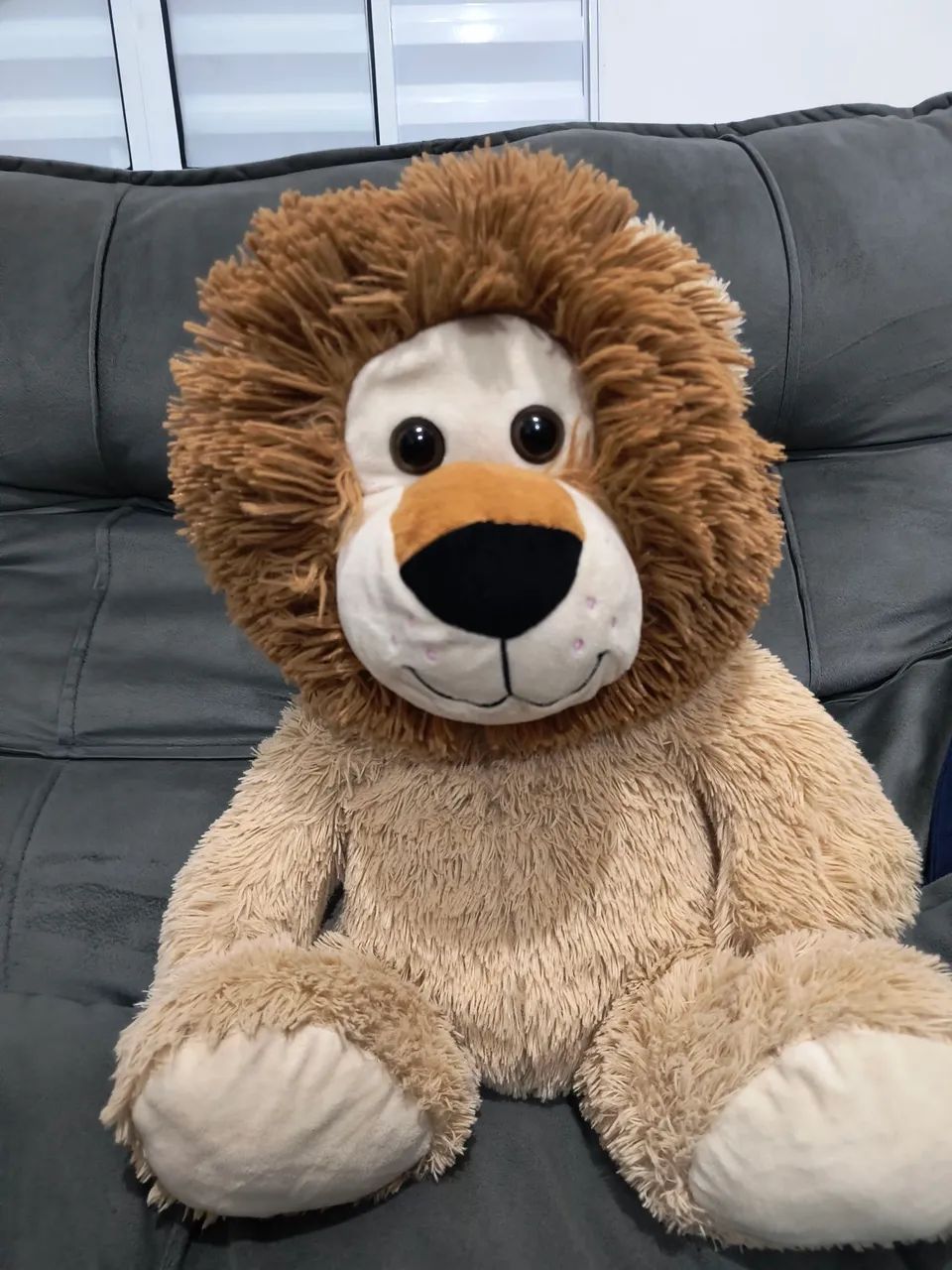 Urso - Foto 2