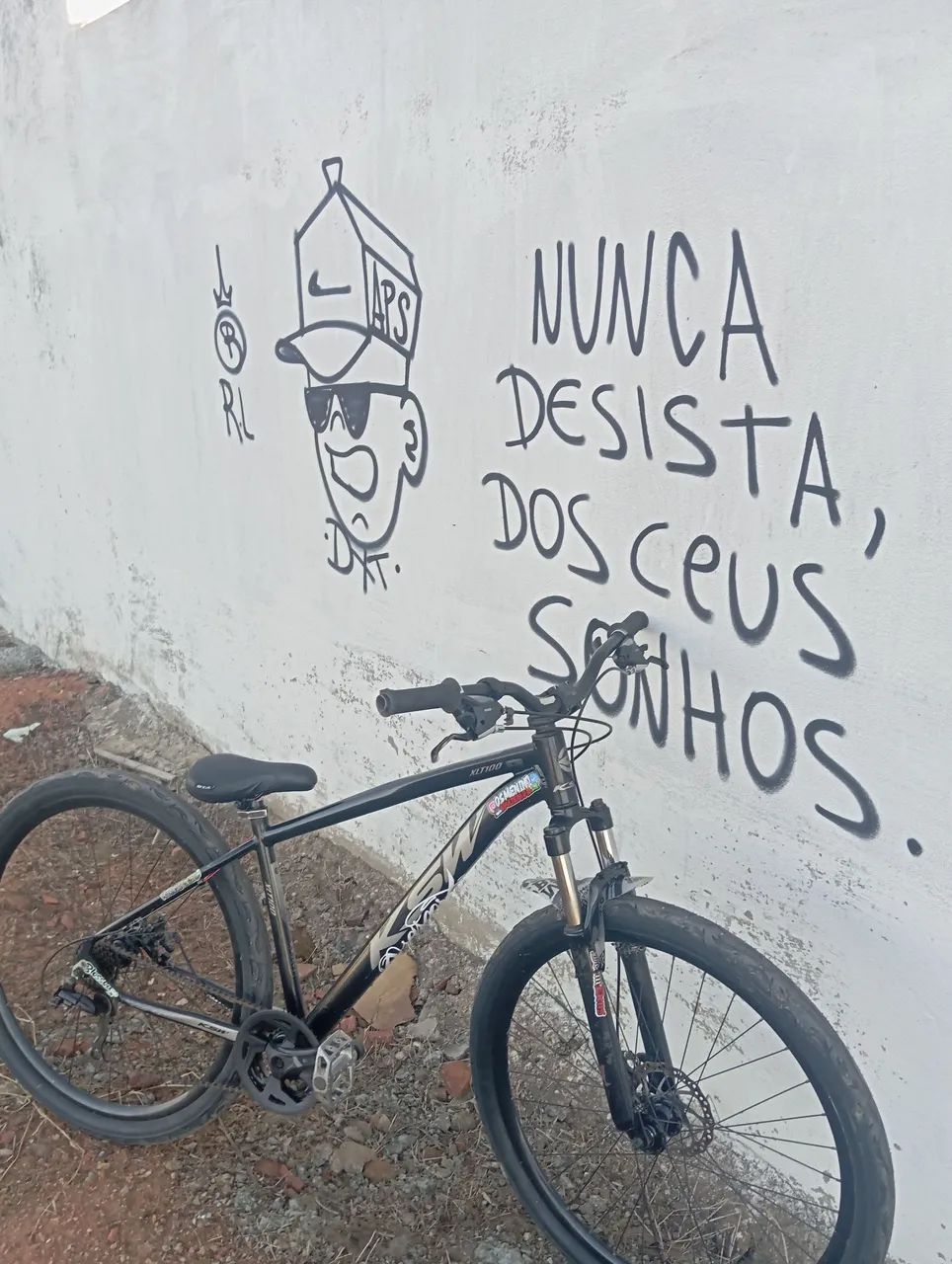 Bike aro 29