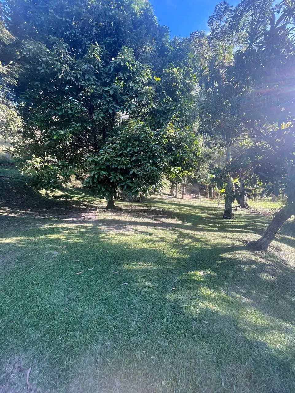 SÍTIO RURAL em NATIVIDADE DA SERRA - SP, CENTRO - Foto 2