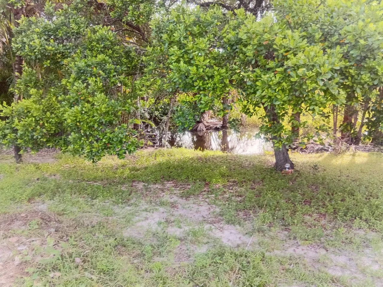 Casa aluguel temporada em barreirinhas ma bairro paraiso  - Foto 6