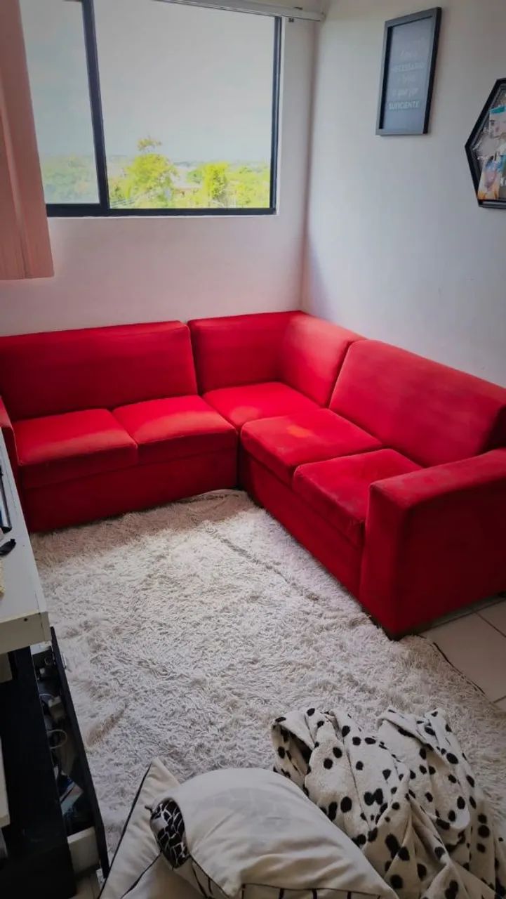 Hs estofados  - Foto 2