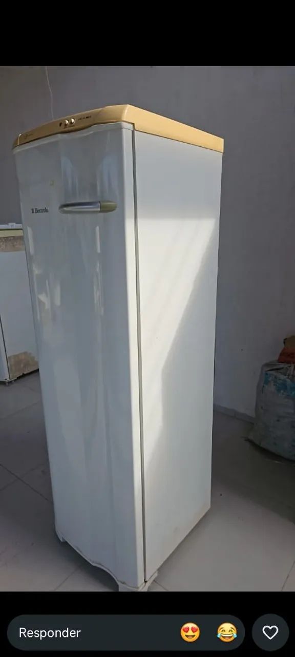 Freezer Eletrolux 