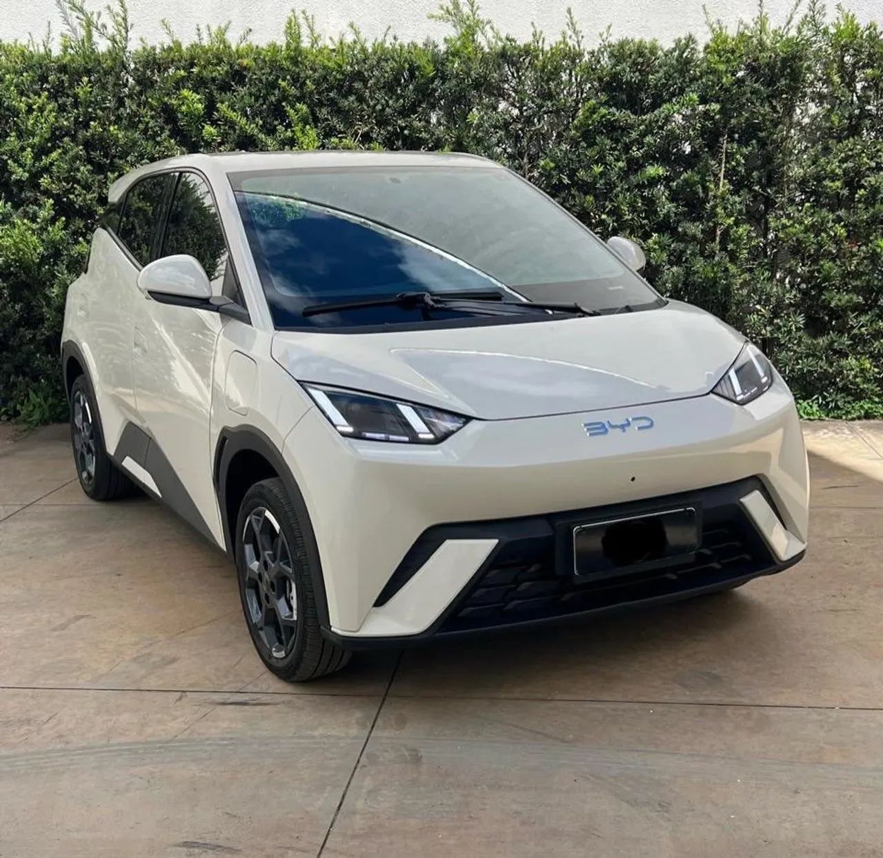 BYD Dolphin Mini (Elétrico) 2025 - Foto 5