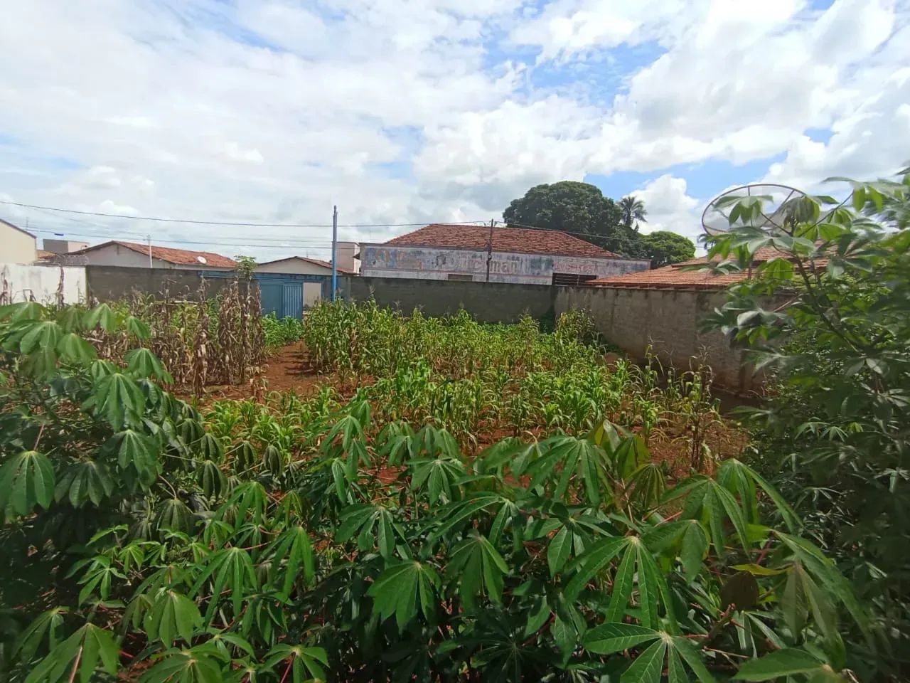 Lote centro de Pires do Rio - Foto 2