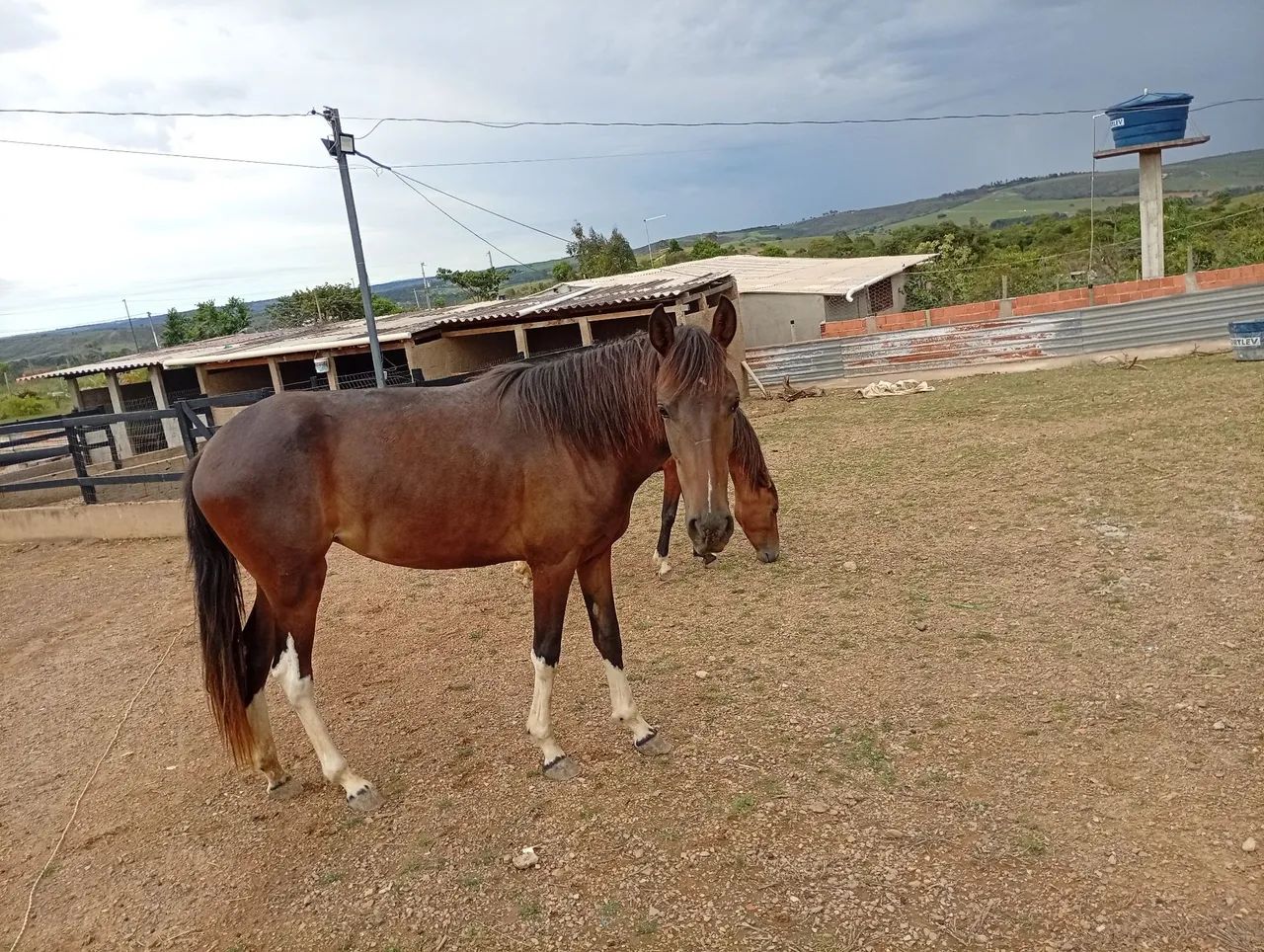 Vendo ou troco - Foto 3