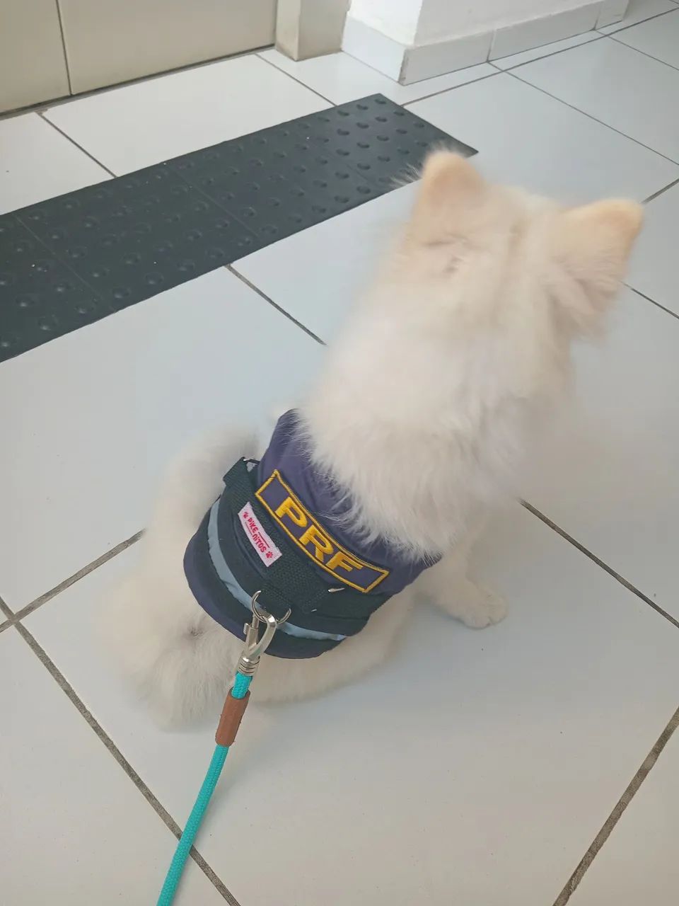 Peitoral da PRF  - Foto 2
