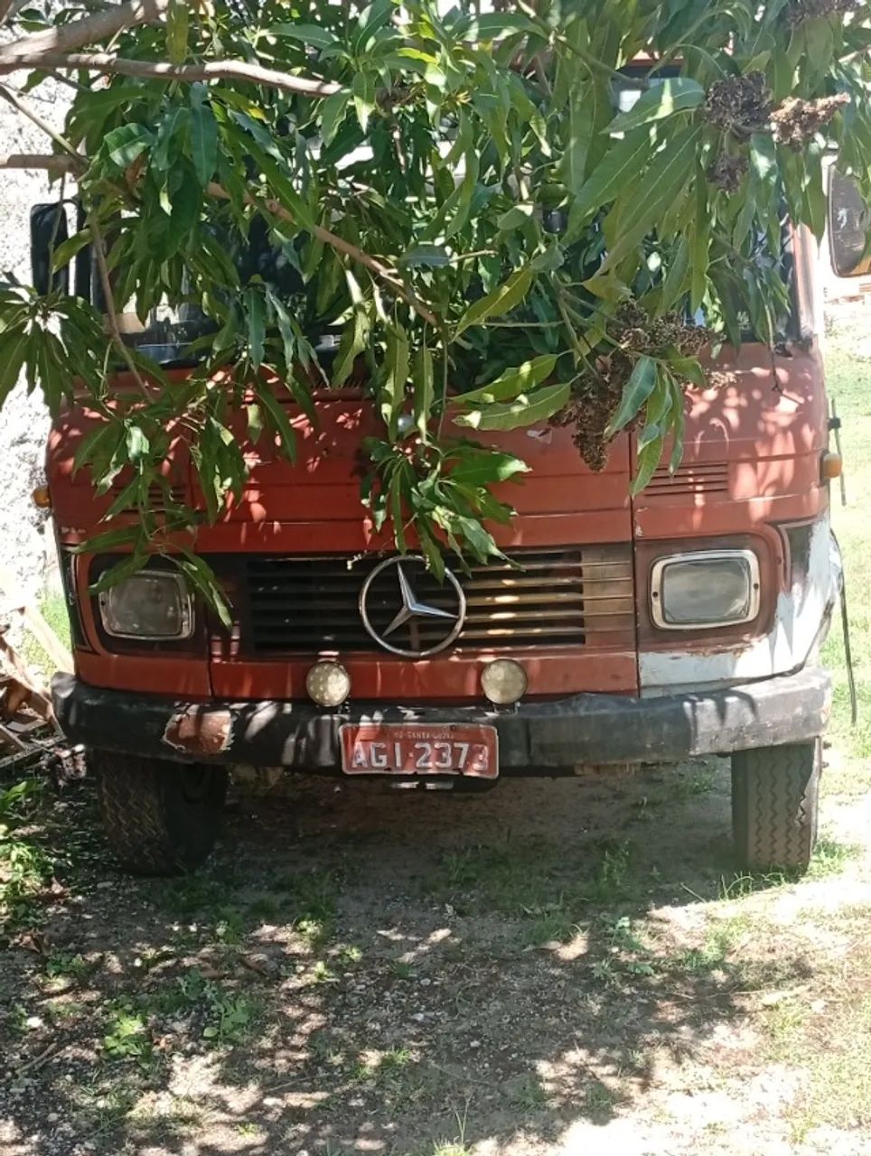 Caminhão  - Foto 2