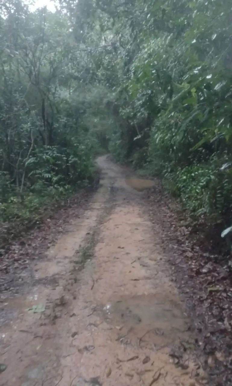 Chácara pertinho de BH - Foto 2
