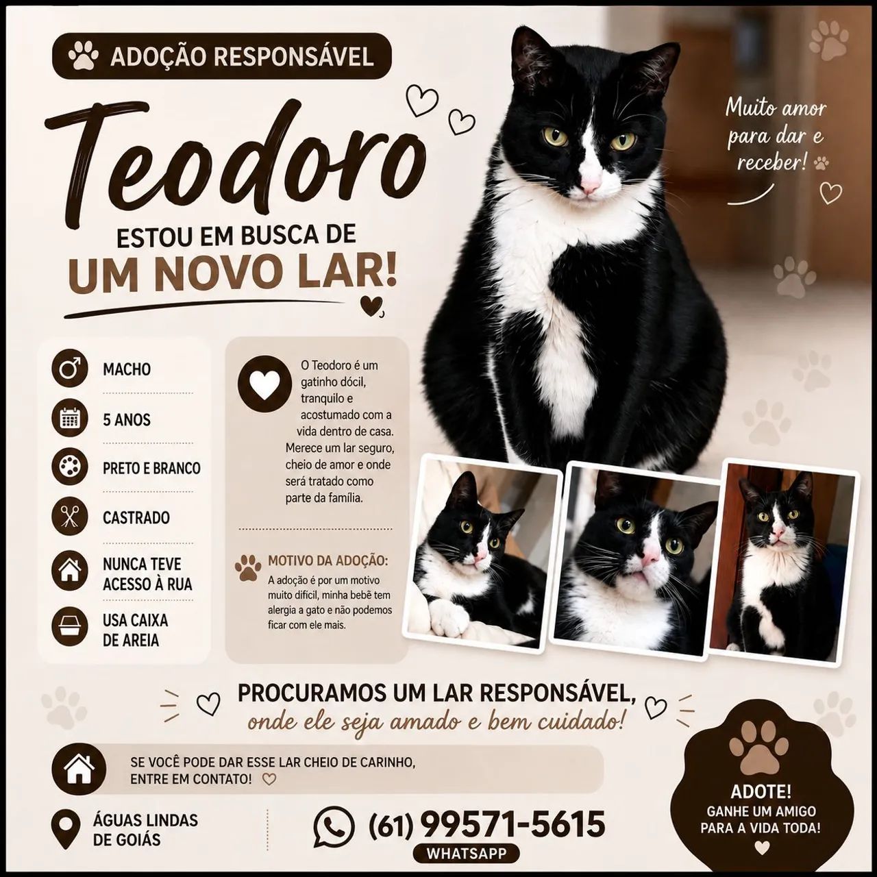 Doação Responsável 