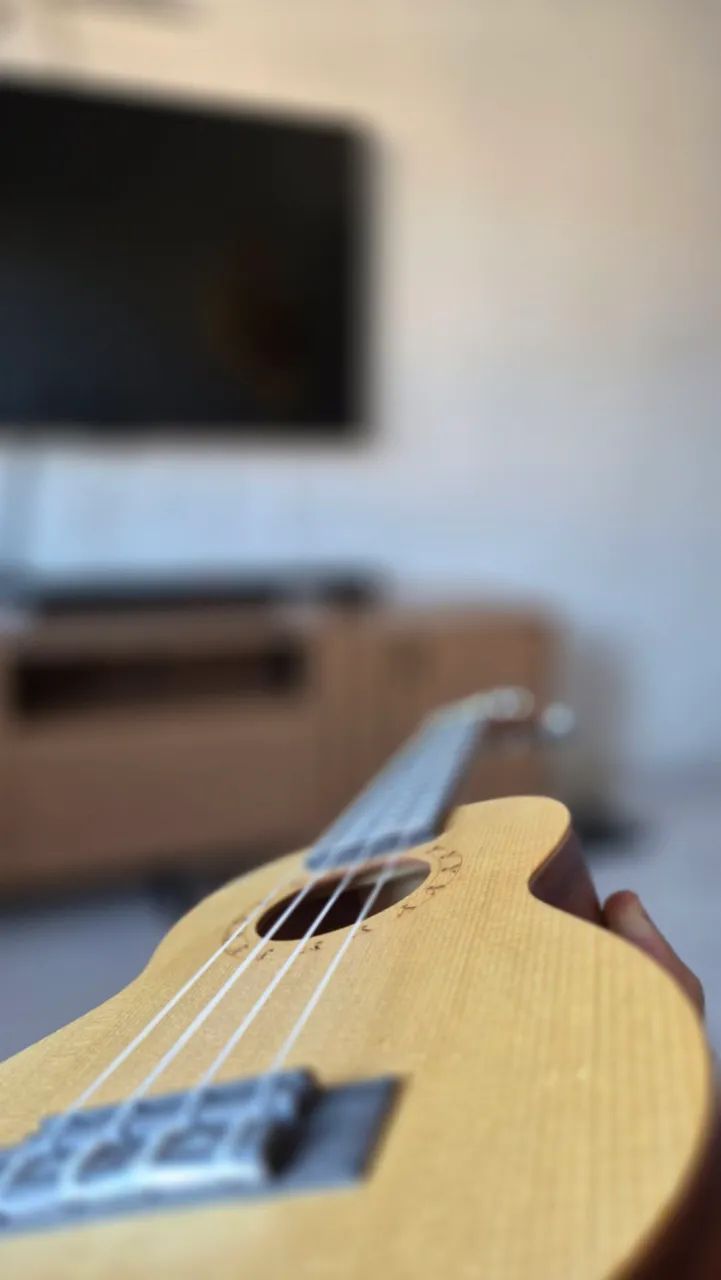 UKULELE JAHNKE NOVO - Foto 3