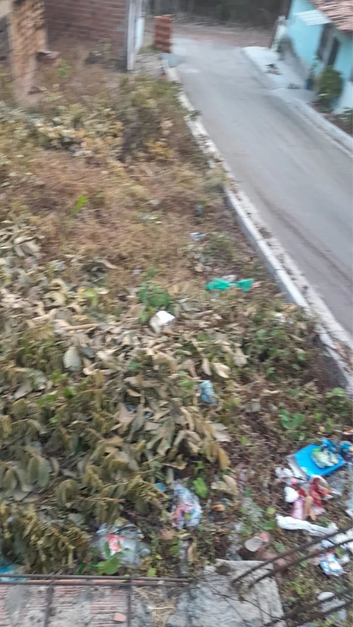 Foto - São Luís - Anjo da Guarda