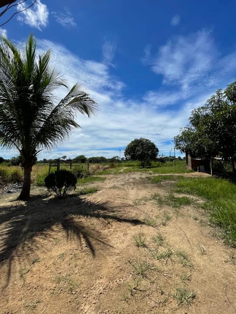 Vendo casa no Polo Benfica . - Foto 5