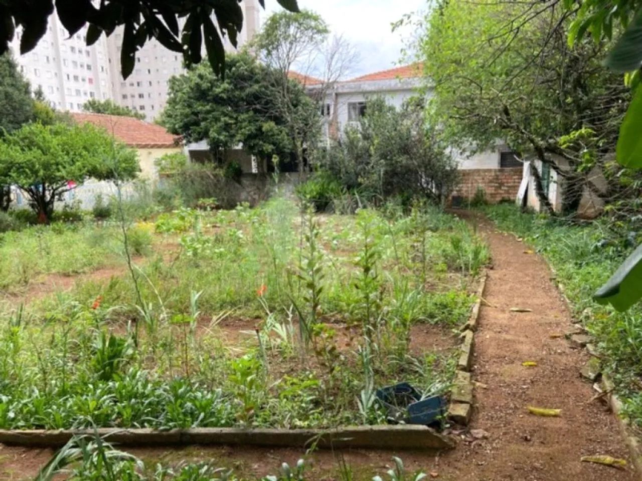 Terreno à venda em Vila nova curuçá - SP - Foto 2